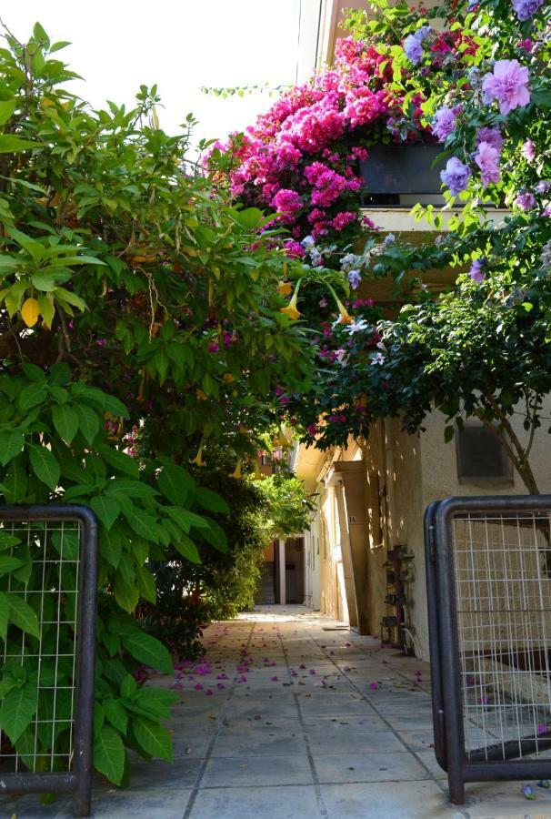 Roula's 1 Lejlighed Chania (Crete)